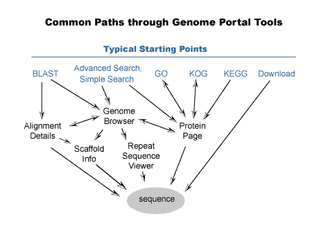 common paths through tools
